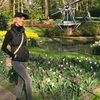 travelingfairy